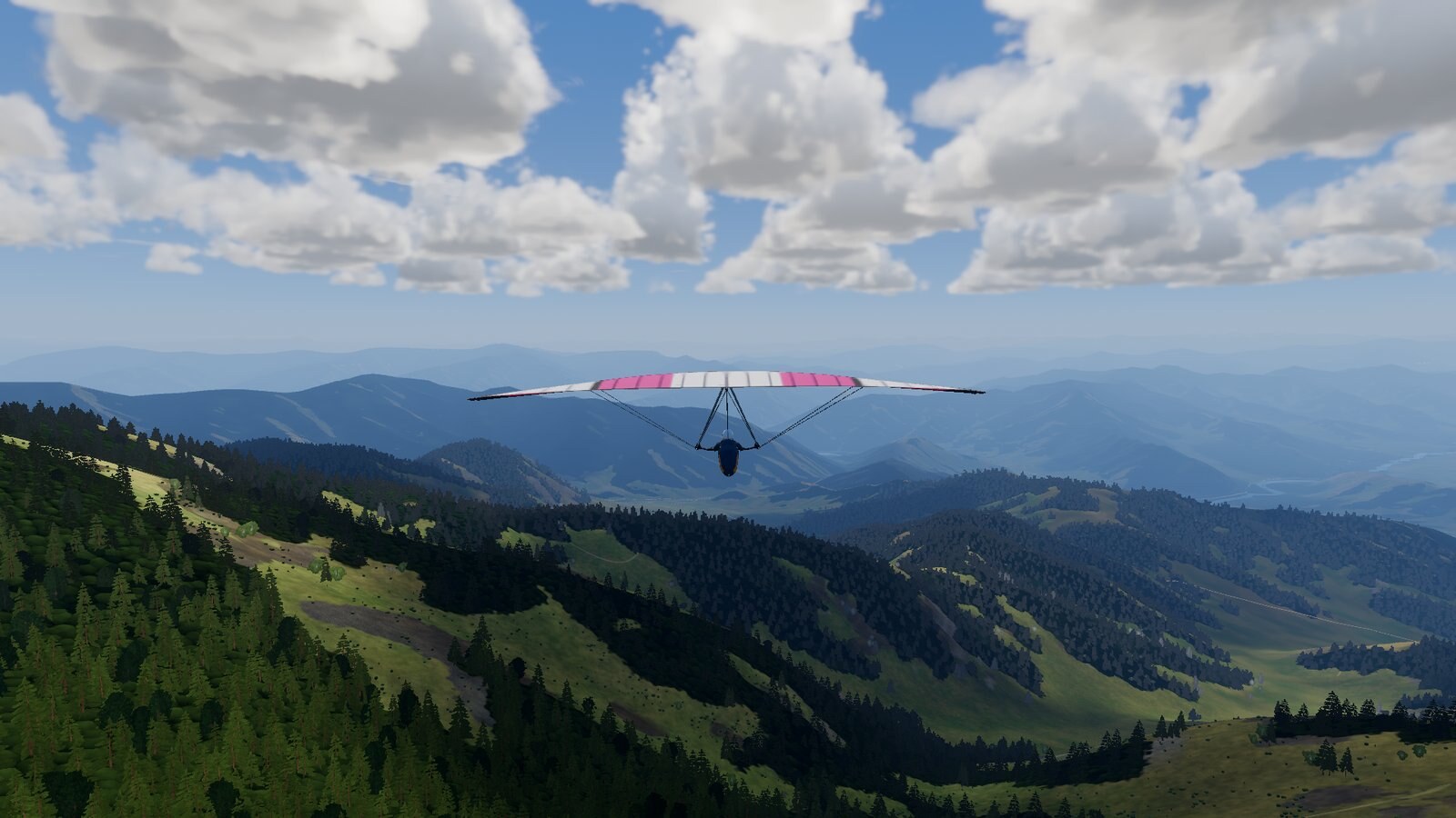 wills wing t2c